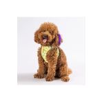 Pawstar Avocado Air-mesh Göğüs Tasması Kedi Köpek Göğüs Tasması Medium