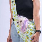 Pawstar Avocado Crossbody Küçük Irk Köpek Taşıma Çantası 50X15x20 Cm