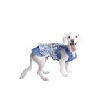 Pawstar Baby Blue Spring Dress Bebe Mavi Bahar Elbise Kedi Köpek Elbisesi Kedi Köpek Kıyafeti