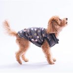 Pawstar Bath Dots Küçük Irk Köpek Peluş Yelek (2XL)