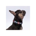 Pawstar Bears Ayı Desenli Köpek Boyun Tasması Ayarlanabilir Köpek Tasması M Size (32-48cm boyun aralığı)