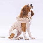 Pawstar Bej Gingham Kapşonlu Kedi Köpek Tişörtü- Kedi Köpek Kıyafeti S