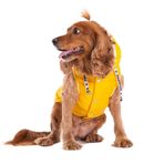 Pawstar BiColor Sarı-Gri Polarlı Su Geçirmez Orta-Büyük Irk Köpek Yağmurluk Tulum (3XL)