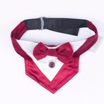 Pawstar Bordo Smokin Kedi/Köpek Fuları (1)