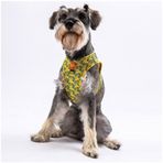 Pawstar Cactus Air-mesh Göğüs Tasması Kedi Köpek Göğüs Tasması Xsmall