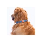 Pawstar Charm Nazar Boncuğu Desenli Köpek Boyun Tasması Ayarlanabilir Köpek Tasması