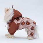 Pawstar Colorado Polarlı Su Geçirmez Küçük Irk Köpek Yağmurluk Tulum (L)