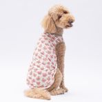 PawStar Cute Bears Orta-Büyük Irk Köpek T-shirtü (4XL)