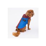Pawstar Denim & Plaid Kedi Köpek Gömleği - Kedi Köpek Kıyafeti Mavi M