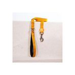 Pawstar Gold Leash Kedi Köpek Sevk & Gezdirme Kayışı Köpek Uzatma Tasması-2Cm