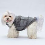 Pawstar Gri Churchill Su Geçirmez Küçük Irk Köpek Yeleği (XL)