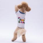 Pawstar Happy Birthday Küçük Irk Köpek Penye T-shirtü (XL)