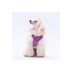 Pawstar Hearts Air-Mesh Kedi Köpek Göğüs Tasması