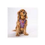 Pawstar Hearts Air-mesh Köpek Göğüs Tasması Mor L