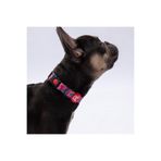 Pawstar Hearts Kalp Desenli Köpek Boyun Tasması Ayarlanabilir Köpek Tasması M Size (32-48cm boyun aralığı)