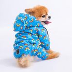 Pawstar Irides Fileli Su Geçirmez Küçük Irk Köpek Yağmurluk Tulum - M