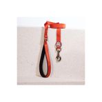 Pawstar Kiremit Leash Kedi Köpek Sevk & Gezdirme Kayışı Köpek Uzatma Tasması-2Cm