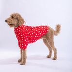 Pawstar Kırmızı Stars Orta ve Büyük Irk Köpek Montu Köpek Yağmurluk Köpek Elbisesi Köpek Kıyafeti - 5XL