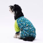 Pawstar Küçük Irk Köpek Dinosaur Penye Tulum Pijama (XL)