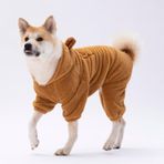 Pawstar Latte Koala Peluş Orta-Büyük Irk Köpek Tulumu (3XL)