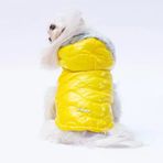 Pawstar Light Wave Kedi Köpek Yelek Sarı