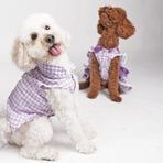 Pawstar Lila Pötikare Küçük Köpek Gömleği (Medium)