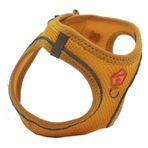 Pawstar M Gold Air-Mesh Göğüs Tasması