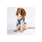 Pawstar Mavi Air-mesh Göğüs Tasması Kedi Köpek Göğüs Tasması Mavi 2XS