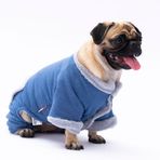 Pawstar Mavi Alabama Küçük Irk Köpek Tulumu - XL