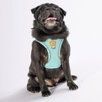 Pawstar Mint Air-mesh Göğüs Tasması Kedi Köpek Göğüs Tasması Mint M
