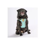 Pawstar Mint Air-mesh Göğüs Tasması Kedi Köpek Göğüs Tasması