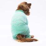 Pawstar Mint Smile Kadife Küçük Irk Köpek Tulumu (1 kg-10 kg arasına uygun bedenlerde) (M)