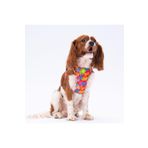 Pawstar Monsters Air-mesh Göğüs Tasması Kedi Köpek Göğüs Tasması