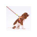 Pawstar Monsters Tasma Seti Kedi Köpek Tasma ve Gezdirme Kayışı Seti