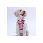 Pawstar Mushroom Air-mesh Göğüs Tasması Kedi Köpek Göğüs Tasması Mantar Desenli Köpek Tasması