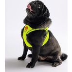Pawstar Neon Sarı Air-mesh Göğüs Tasması Kedi Köpek Göğüs Tasması