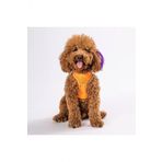 Pawstar Neon Turuncu Air-Mesh Gogus Tasmasi Kedi Kopek Gogus Tasmasi