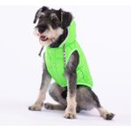 Pawstar Neon Yeşil Railway Anorak Yelek Köpek Yeleği Köpek Kıyafeti Köpek Yağmurluk