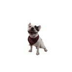 Pawstar Omg Babe Kedi Köpek Fuları Pet Bandanası Bordo 2