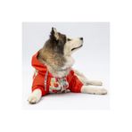 Pawstar Ottawa Büyük Irk Köpek Mont Köpek Yağmurluk Köpek Kıyafeti Köpek Elbisesi