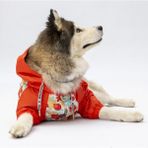 Pawstar Ottawa Büyük Irk Köpek Tulum Yağmurluğu - 7XL