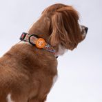 Pawstar Pizza Desenli Köpek Boyun Tasması Ayarlanabilir Köpek Tasması M Size (32-48CM Boyun Aralığı) - Turkuaz