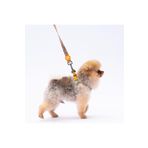 Pawstar Pizza Leash & Air-Mesh Kedi Köpek Tasma ve Gezdirme Kayışı Seti Tasma Seti