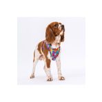 Pawstar Puzzle Air-mesh Göğüs Tasması Kedi Köpek Göğüs Tasması 2XSmall
