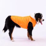 Pawstar Railway Neon Turuncu Su İtici Orta-büyük Irk Köpek Yelek Yağmurluk