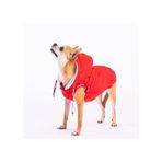 Pawstar Railway Red Su İtici Küçük Irk Köpek Yelek Yağmurluk