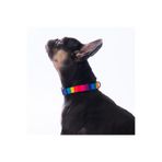 Pawstar Rainbow Gökkuşağı Desenli Renkli Köpek Boyun Tasması Ayarlanabilir Köpek Tasması