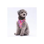 Pawstar Rosea Camouflage Air-Mesh Kedi Köpek Göğüs Tasması