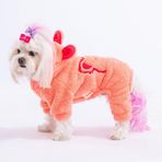 Pawstar Somon Koala Peluş Küçük Irk Köpek Tulumu - XL