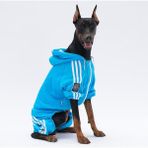 Pawstar Turkuaz Tuta Orta-Büyük Irk Köpek Tulumu - 3XL